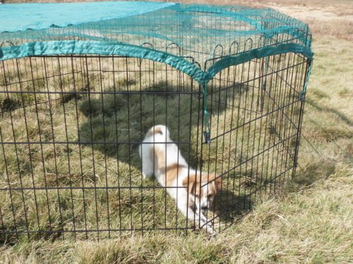 VivaPet Exterior Octagon con protección solar red para mascotas, Negro/Plata