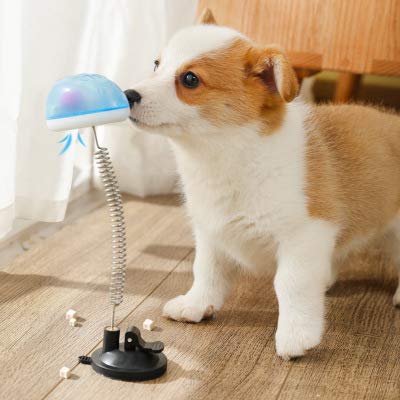 Vivi Bear Toys Juguete Interactivo para Perros,Juguete para Mascotas, Divertido e Interactivo,ansiedad por separación,aburrimiento,Entrenamiento para Gatos,Cachorros,Mascotas pequeñas y Medianas