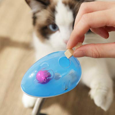 Vivi Bear Toys Juguete Interactivo para Perros,Juguete para Mascotas, Divertido e Interactivo,ansiedad por separación,aburrimiento,Entrenamiento para Gatos,Cachorros,Mascotas pequeñas y Medianas