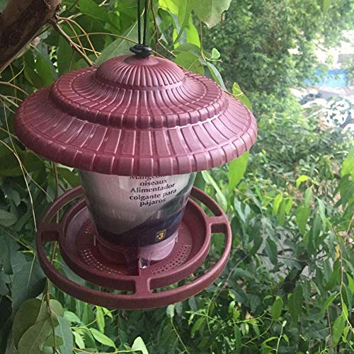 WANGIRL Suministros de Mascotas Impermeable Colgando Perezoso Aves Comederos Pájaros Plastico Durable Bandeja Comedero Decorar Terraza Balcón Jardín (Color : Red)