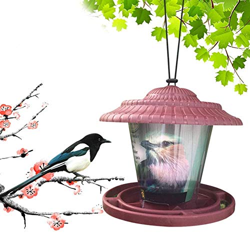 WANGIRL Suministros de Mascotas Impermeable Colgando Perezoso Aves Comederos Pájaros Plastico Durable Bandeja Comedero Decorar Terraza Balcón Jardín (Color : Red)