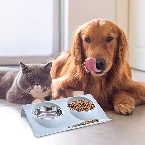WELLXUNK® Cuenco del Gato, Tazón para Mascotas, Antideslizante Gato Cuenco, Cuencos Dobles para Gatos, Comedero para Gatos de Acero Inoxidable, Tazón de Comida Gatos Ajustable para Mascotas (Azul)