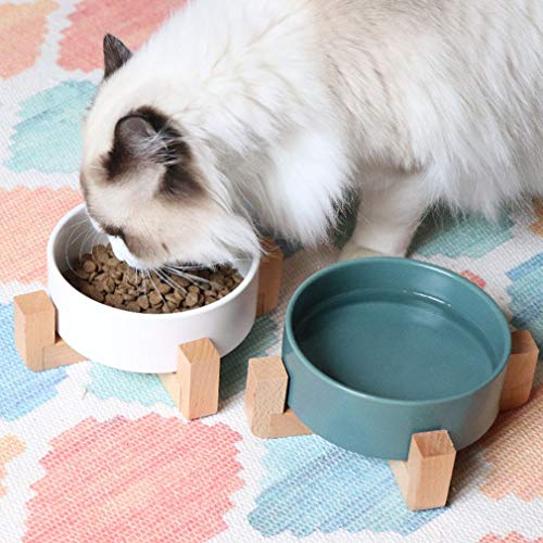 WENY Cuencos De Cerámica para Perros Cuenco De Perro con Comedero para Perros De Pie Armonía Cuenco De Perro para Gatos Perrito Comida para Perros Y Alimentación De Agua,Verde