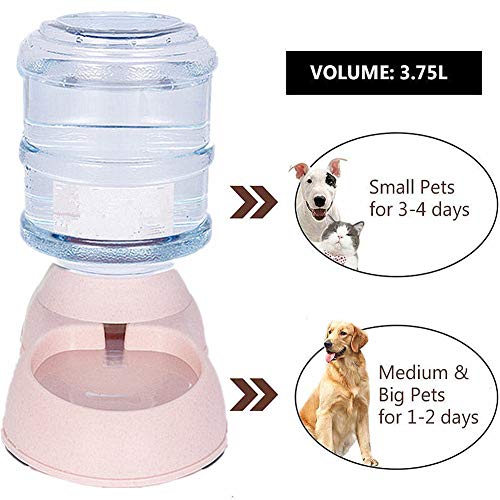 WESDOO Comedero Automatico Gatos Comederos para Gatos Fuente de Agua para Gato Gatito Alimentos alimentación Pet dispensador de Agua Pink,Feeder Set