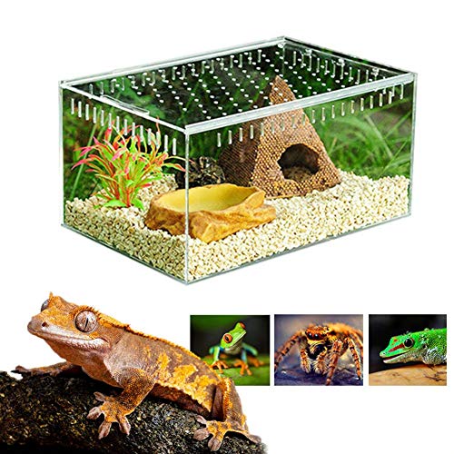 winnerruby Caja de Reptiles Transparente, acrílico, para Reptiles, terrario para espelta de Echsen de Serpiente Rana S/L