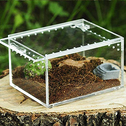 winnerruby Caja de Reptiles Transparente, acrílico, para Reptiles, terrario para espelta de Echsen de Serpiente Rana S/L