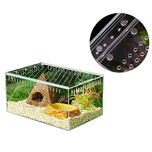 winnerruby Caja de Reptiles Transparente, acrílico, para Reptiles, terrario para espelta de Echsen de Serpiente Rana S/L