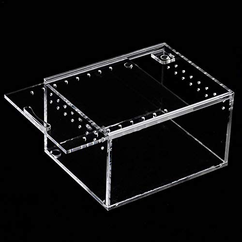 winnerruby Caja de Reptiles Transparente, acrílico, para Reptiles, terrario para espelta de Echsen de Serpiente Rana S/L
