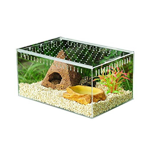 winnerruby Caja de Reptiles Transparente, acrílico, para Reptiles, terrario para espelta de Echsen de Serpiente Rana S/L