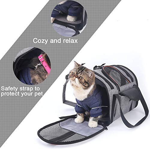 WLDOCA Mochila de Transporte para el pequeño Perro del Gato, Bolso Plegable Lavable Plegable para el avión de Viaje Tren Tren Avión homologado