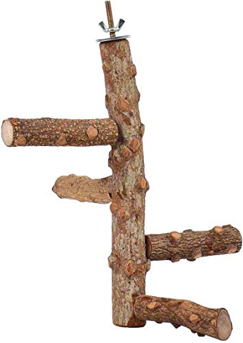 Wonninek pájaro Perca Loro Naturaleza Madera Actividad Rama Soporte mordedura Juguete Plataforma Jaula de pájaros Natural Juguetes para Mascotas Zona de Juegos