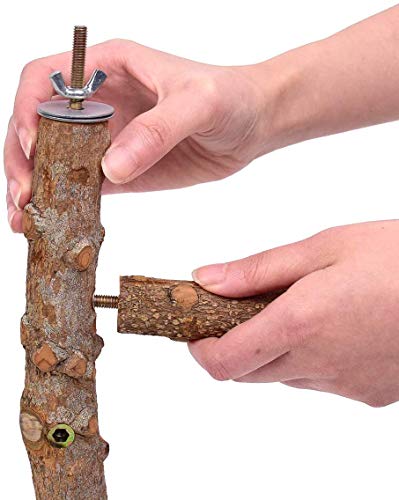 Wonninek pájaro Perca Loro Naturaleza Madera Actividad Rama Soporte mordedura Juguete Plataforma Jaula de pájaros Natural Juguetes para Mascotas Zona de Juegos