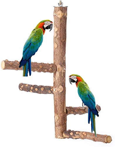 Wonninek pájaro Perca Loro Naturaleza Madera Actividad Rama Soporte mordedura Juguete Plataforma Jaula de pájaros Natural Juguetes para Mascotas Zona de Juegos