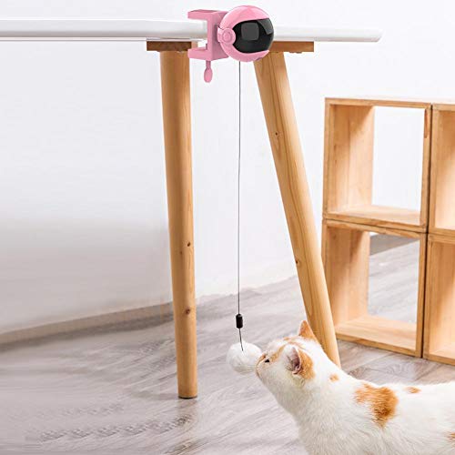 Woolves Smart Interactive Funny Toys for Cat, Juguete eléctrico de Bola móvil Kitty Chaser, Juego de Captura de Juguete con Varilla de Resorte de elevación automática para Entrenamiento de Gatitos