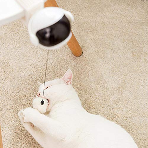 Woolves Smart Interactive Funny Toys for Cat, Juguete eléctrico de Bola móvil Kitty Chaser, Juego de Captura de Juguete con Varilla de Resorte de elevación automática para Entrenamiento de Gatitos