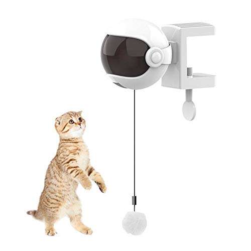 Woolves Smart Interactive Funny Toys for Cat, Juguete eléctrico de Bola móvil Kitty Chaser, Juego de Captura de Juguete con Varilla de Resorte de elevación automática para Entrenamiento de Gatitos