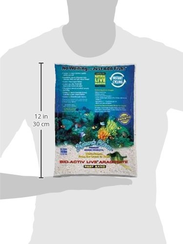WORLD WIDE IMPORTS ENTERPRISES Todo el Mundo Las importaciones awwa20701 – Live Aragonito Arena para Acuario Decor, 10-Pound