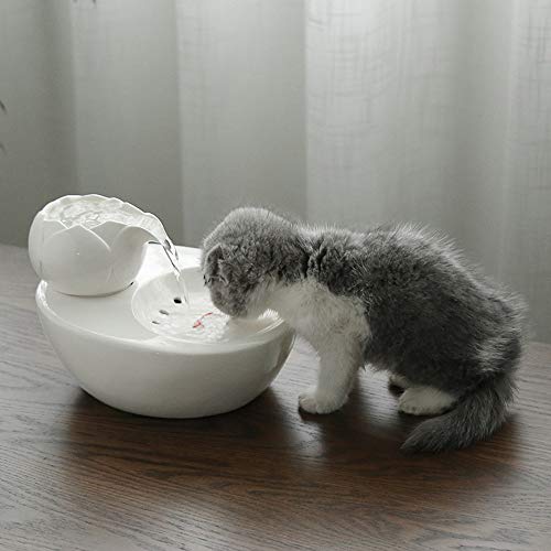 Wudimaoyiyouxian Alimentador automático de Ultra silencioso Agua de la Taza de cerámica Mudo estupendo del Gato del Perro casero de la Fuente de riego Potable alimentador automático de Agua