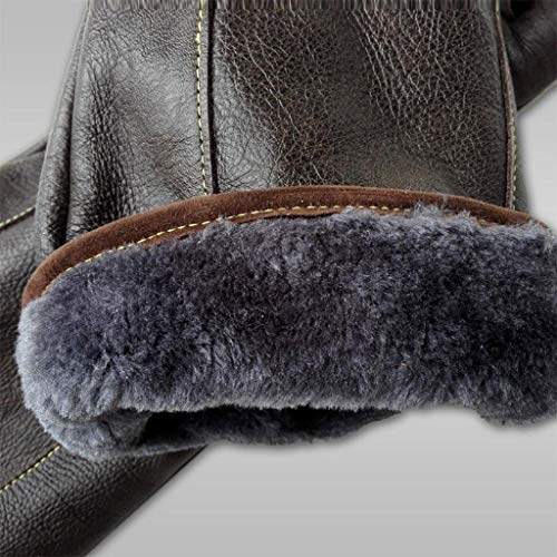 WYEA Guantes for el manejo de Animales Serpiente Pájaro del Gato del Perro del Loro Lagarto, Anti-mordedura/Scratch jardinería y Guantes de protección Animales Silvestres Lucky