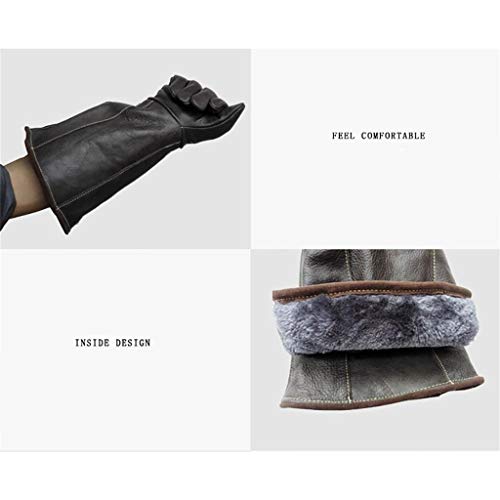 WYEA Guantes for el manejo de Animales Serpiente Pájaro del Gato del Perro del Loro Lagarto, Anti-mordedura/Scratch jardinería y Guantes de protección Animales Silvestres Lucky