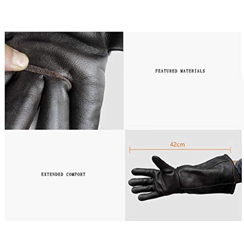 WYEA Guantes for el manejo de Animales Serpiente Pájaro del Gato del Perro del Loro Lagarto, Anti-mordedura/Scratch jardinería y Guantes de protección Animales Silvestres Lucky