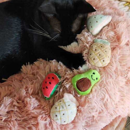 WZhen Cat Face Design Cat Toy Catnip Cookie Cat Pillow - Abeja Amarilla Brillante