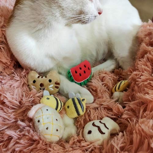 WZhen Cat Face Design Cat Toy Catnip Cookie Cat Pillow - Abeja Amarilla Brillante