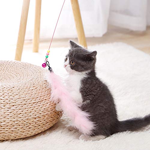 XGzhsa Palo de Gato Divertido, Juguetes de Plumas de Gato, 5 Piezas de Juguetes Divertidos con Plumas para Gatos, adecuados para ejercitar Gatos