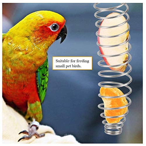 Xiuyer Brochetas Frutas Pájaros, 3pcs Acero Inoxidable Colgar Fruta Vegetal Carne Comedero Pájaros Espiral Brocheta Verduras Loros Alimento Palitos Cestas Alimentos para Loros Cacatúas Pájaros