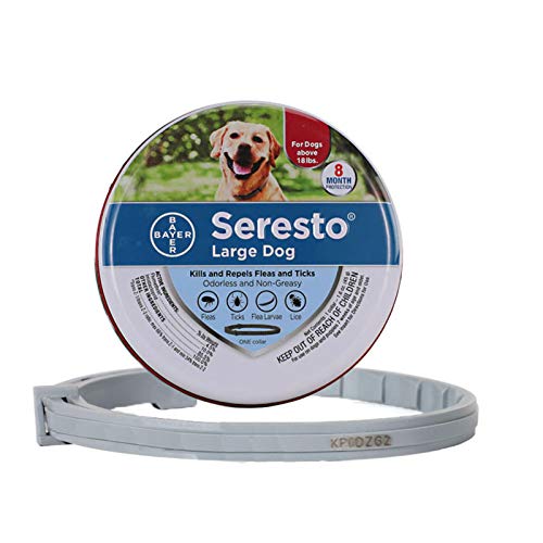 YANKAI Cuello de Gato de Perro 8 Meses Gato con pulgas y escorpión Collar de Prevención Mosquito Repelente Collar Repelente Mosquito Repelente