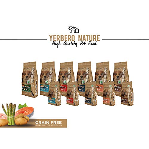 YERBERO Nature Grain Free Senior Comida SIN Cereales salmón para Perros 2,5kg