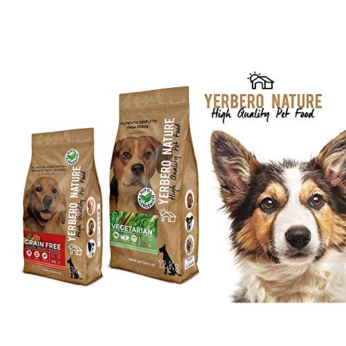 YERBERO Nature Grain Free Senior Comida SIN Cereales salmón para Perros 2,5kg