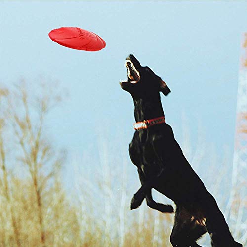 YFOX Frisbee Juguete de Perro de Goma Natural Flotante (Rojo)