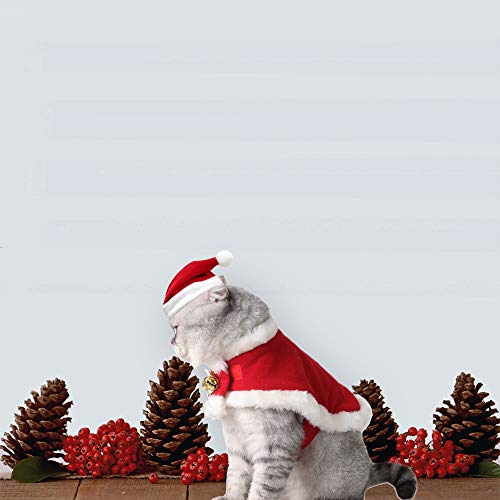 yizeda Disfraz de gato de Navidad, capa de Papá Noel, disfraz de Navidad con campanas, con un bonito sombrero de Navidad, un conjunto de dulces regalos para perros y gatitos (S)