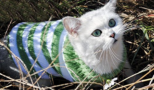 Yongqin - Suéter para gato, ropa de invierno para mascota, jersey elástico y cómodo para gatos pequeños, perros chihuahua, etc.