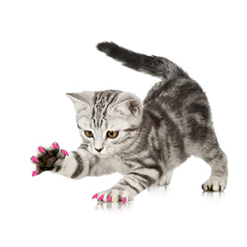 YOUTHINK 100Pcs Durable Pet Cat Soft PVC Nail Cover Paw Claw Cap Wrap Grooming Accesorio de Random 5Pcs Adhesive Glue con 5Pcs Aplicadores(M-Rosa Roja)