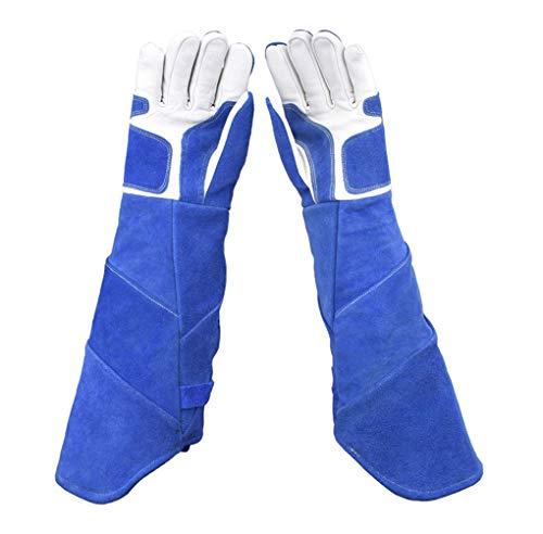 Yx-outdoor Guantes Anti-mordidas para Mascotas, Perro Gato, ratón, Serpiente, Anti-rasguños Alarga y Espesa Guantes Protectores duraderos y Resistentes a Las mordeduras, 55 cm / 21,7 Pulgadas
