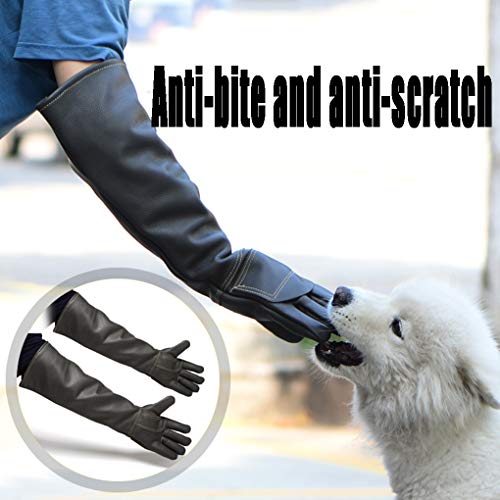 Yx-outdoor Mascotas Guantes Anti mordidas, Entrenamiento y Lavado de Mascotas Piel de Vacuno de Doble Capa Engrosada y Alargada Guantes de jardinería y Animales, 60 cm / 23,6 Pulgadas