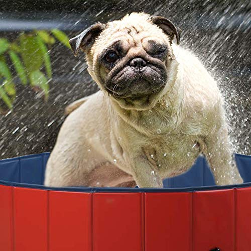ZEHNHASE Piscina para Mascotas Plegable, PVC Antideslizante y Resistente al Desgaste Piscina para Perros, Adecuado para Niños/Mascotas Perros (L:120x30CM)