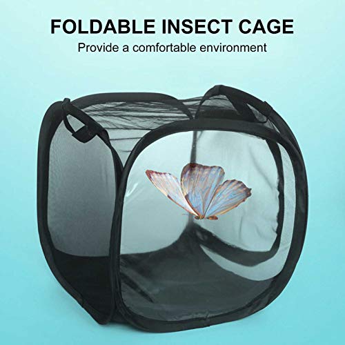 Zerodis Jaula para hábitat de Mariposas, Malla para Insectos Jaula Negra Red Plegable para hábitat de Mariposas Red para Reptiles al Aire Libre Caza cría 11.8x11.8x11.8in