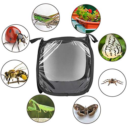 Zerodis Jaula para hábitat de Mariposas, Malla para Insectos Jaula Negra Red Plegable para hábitat de Mariposas Red para Reptiles al Aire Libre Caza cría 11.8x11.8x11.8in
