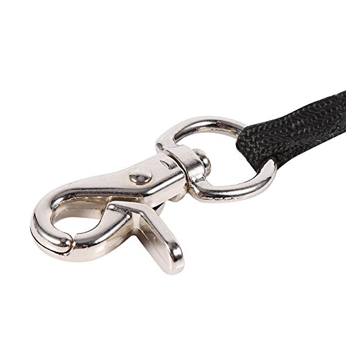 Zetiling Lazo de la preparación del Perro, Mesa de la preparación del baño del Brazo de la restricción Ajustable arnés del Lazo del arnés para el Gato del Perro casero(S)