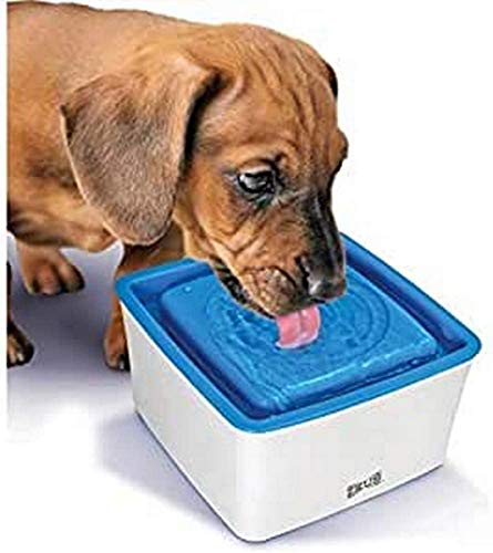 Zeus Dog Mini Fountain