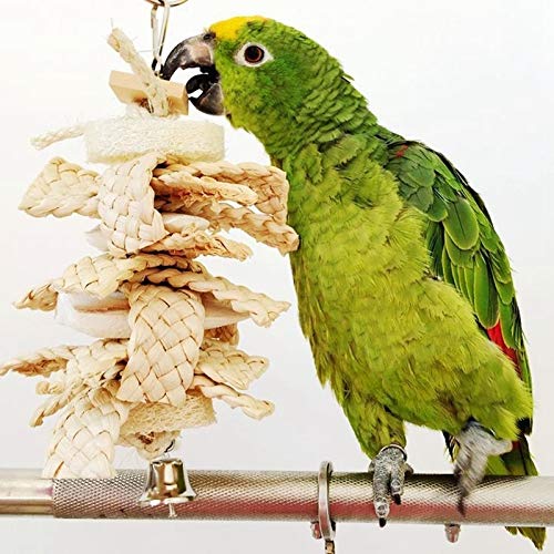 ZHANGQUAN QYPT Petstages Juguetes for Mascotas Suministros Loro Calamar Sepia Bone lufa Copo de maíz de la mordedura de Juguete