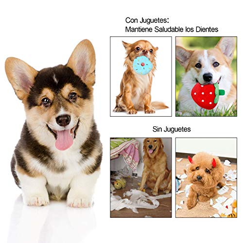 ZITFRI 12 Pack Juguetes para Perros Duradero y Masticable Juguetes para Perros Pequeño Medio, Grande, Mordedor Perros Juguete Interactivo para Perros Accesorios para su Buena Salud- Algodón Natural