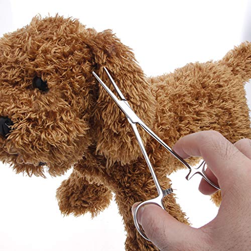 zrshygs Hemostat Fórceps para Perros Perro Gato Oreja Fórceps de Limpieza Alicates De Acero para Mascotas Pinzas Pinzas Herramienta Hemostática