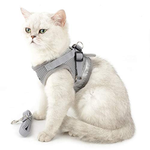 Zunea - Arnés ajustable para cachorros, perros pequeños o gatos, sin tirones, de malla suave, acolchado, arnés con correa y logotipo reflectantes, ideal para entrenamiento, salir a pasear y a correr