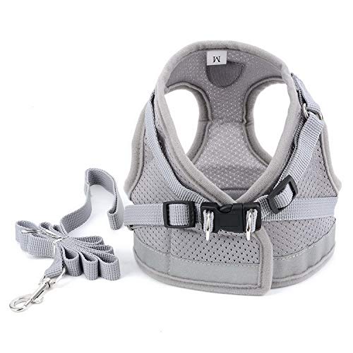 Zunea - Arnés ajustable para cachorros, perros pequeños o gatos, sin tirones, de malla suave, acolchado, arnés con correa y logotipo reflectantes, ideal para entrenamiento, salir a pasear y a correr
