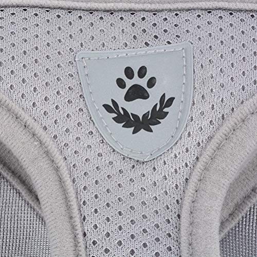 Zunea - Arnés ajustable para cachorros, perros pequeños o gatos, sin tirones, de malla suave, acolchado, arnés con correa y logotipo reflectantes, ideal para entrenamiento, salir a pasear y a correr