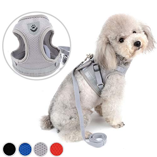 Zunea - Arnés ajustable para cachorros, perros pequeños o gatos, sin tirones, de malla suave, acolchado, arnés con correa y logotipo reflectantes, ideal para entrenamiento, salir a pasear y a correr